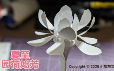 立体卡-荷花